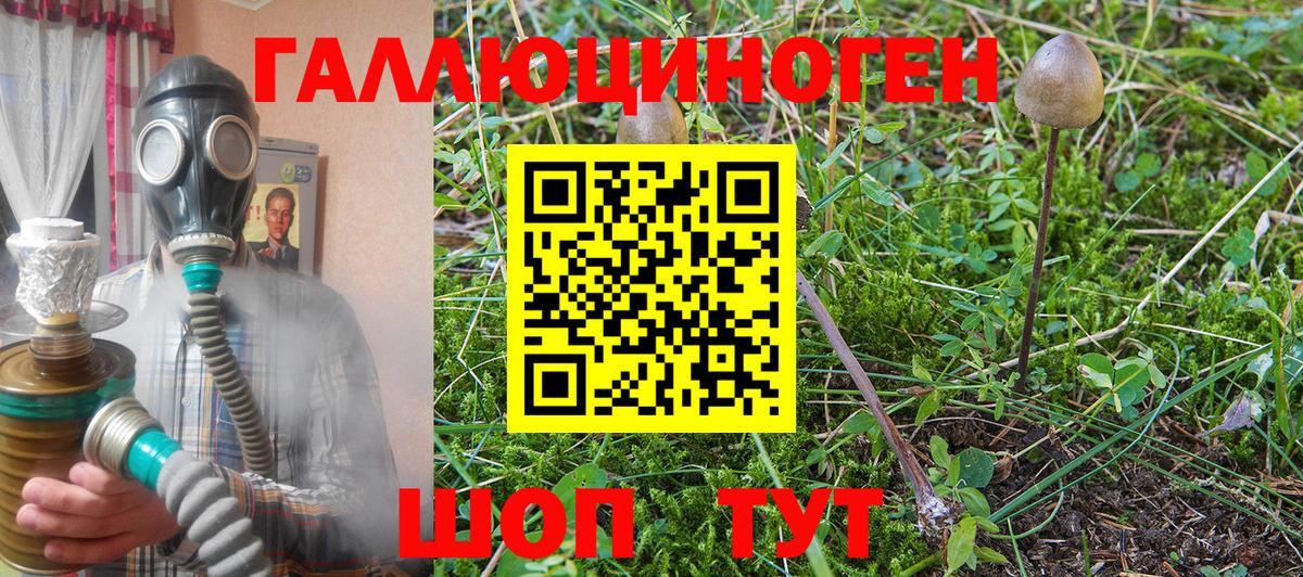 Сатка  Псилоцибиновые грибы MAGIC MUSHROOMS  Вход с VPN 