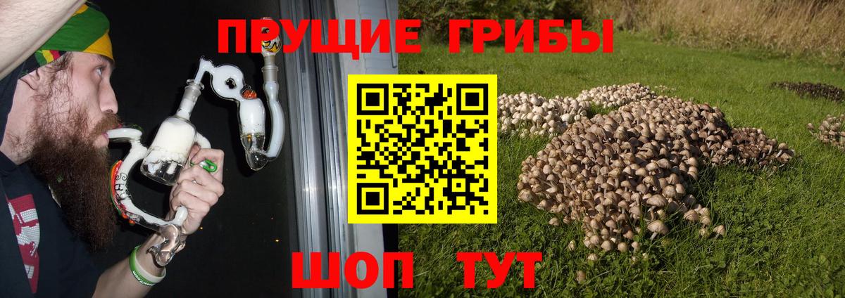 Псилоцибиновые грибы Magic Shrooms Сатка